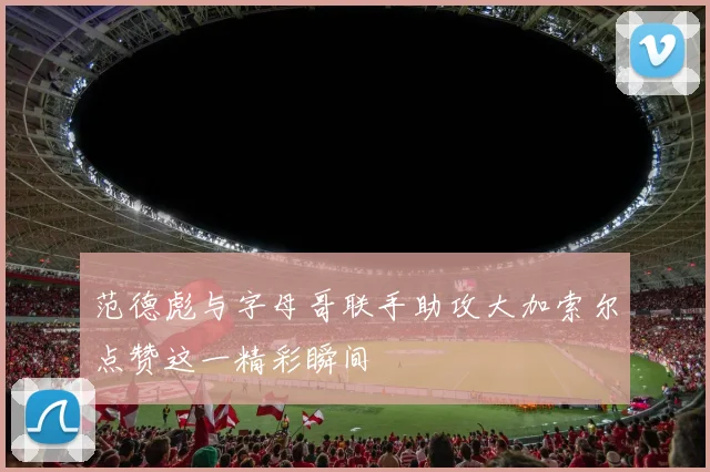 范德彪与字母哥联手助攻大加索尔点赞这一精彩瞬间
