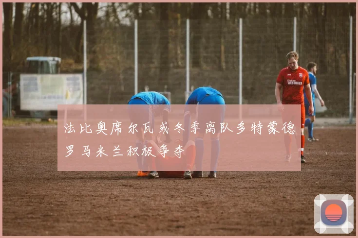 法比奥席尔瓦或冬季离队多特蒙德罗马米兰积极争夺